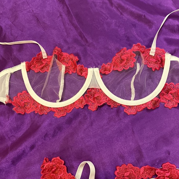 Sexy Lingerie Bra,Thong & Garter SZ L - Picture 5 of 14